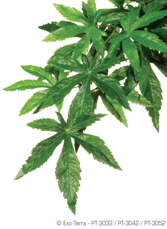 Exo-Terra Hanging Rainforest Plants Abuliton Small kúszó esőerdei műnövény kicsi PT3032