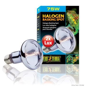 Exo-Terra Halogen Basking halogén sütkérező spot izzó E27/75 W-os PT2182