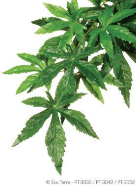 Exo-Terra Hanging Rainforest Plants Abuliton Small kúszó esőerdei műnövény kicsi PT3032