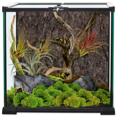 ReptiPlanet Mini Glass Reptile Habitat mini üveg terrárium 30x30x30 cm-es