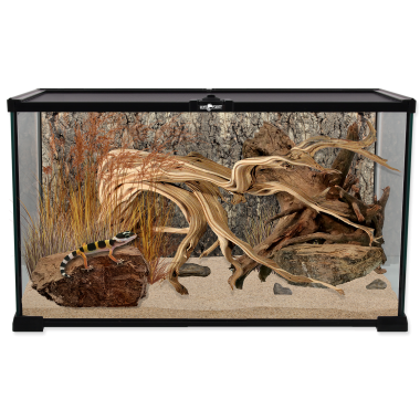 ReptiPlanet Mini Glass Reptile Habitat mini üveg terrárium 50,5x30,5x25 cm-es