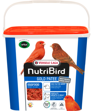 Versele-Laga NutriBird Gold Patee Eggfood tojásos lágyeleség vörös kanárinak 5 kg-os